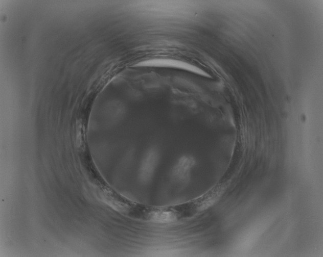 X0000066120169200603101244