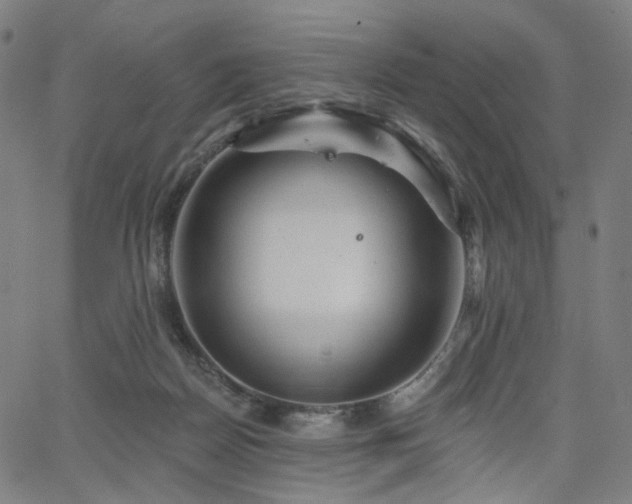 X0000066120170200603101244