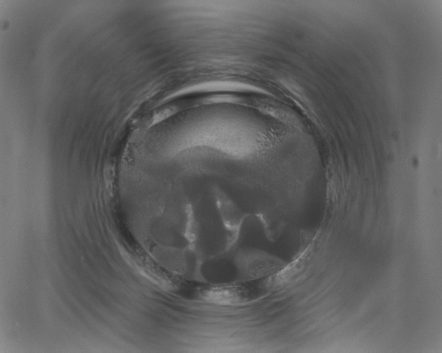 X0000066120171200603101244