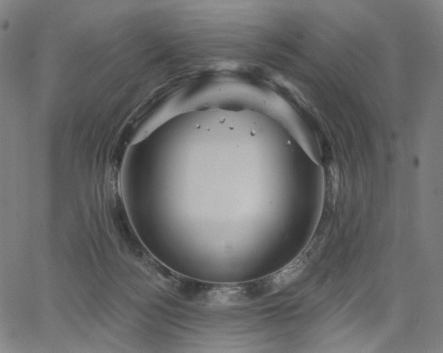 X0000066120172200603101244