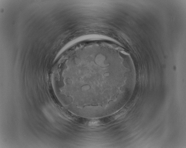 X0000066120173200603101244