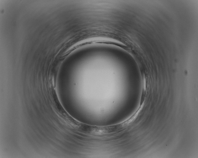 X0000066120174200603101244