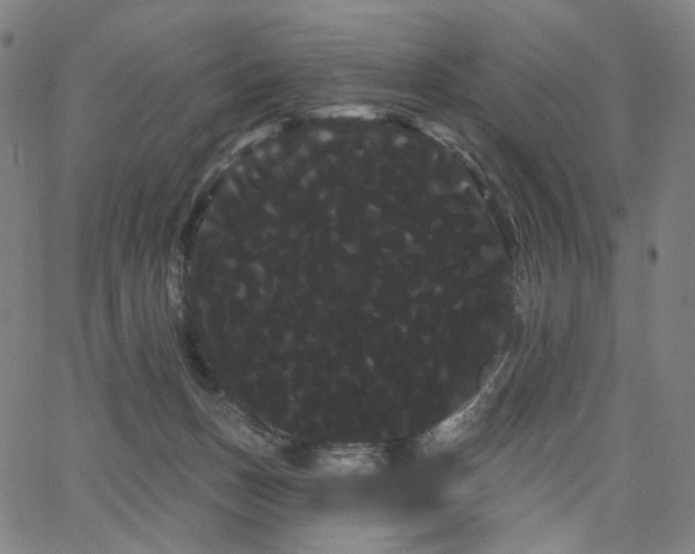 X0000066120175200603101244