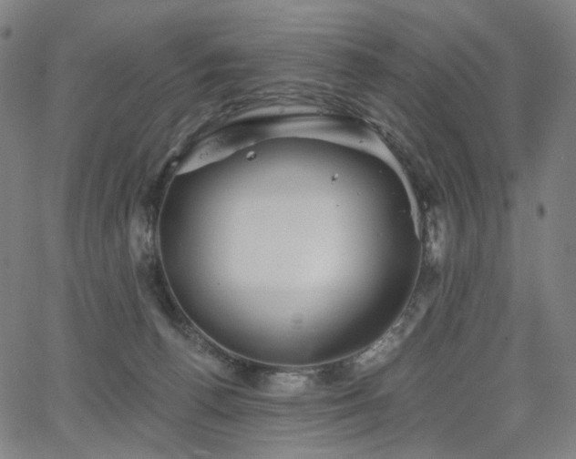 X0000066120176200603101244