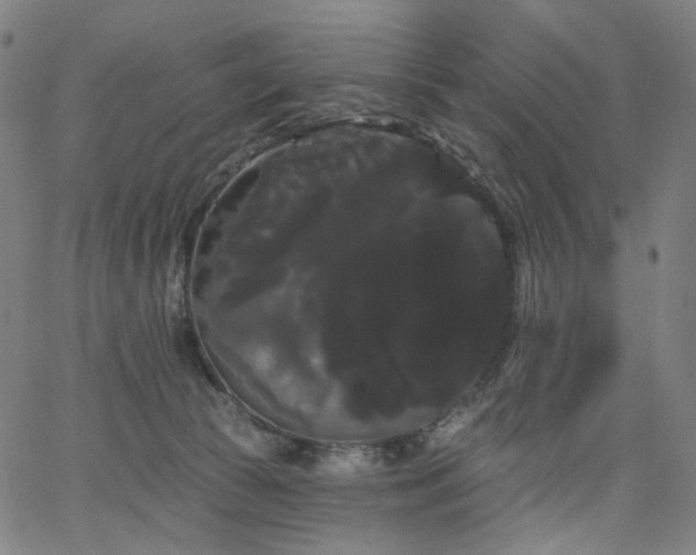 X0000066120177200603101244