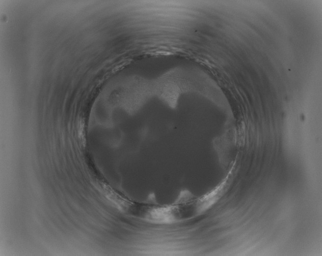 X0000066120178200603101244