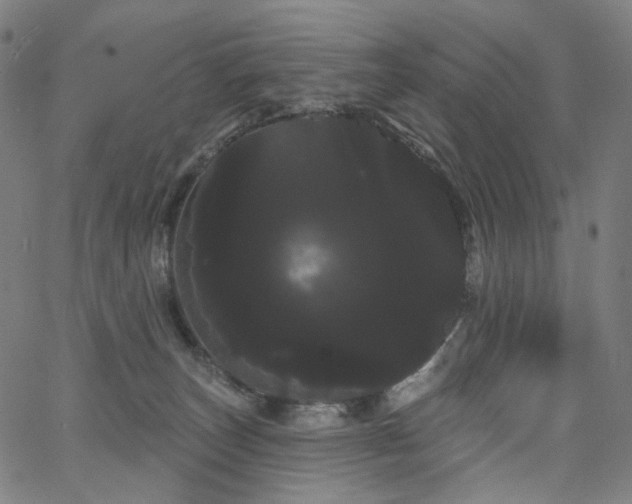 X0000066120179200603101244