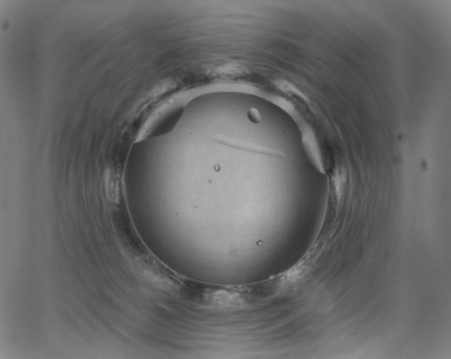 X0000066120180200603101244