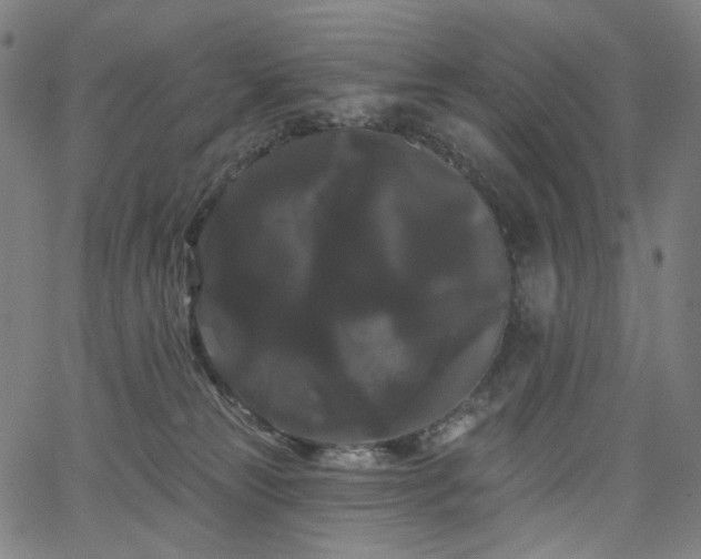 X0000066120181200603101244