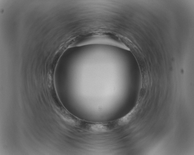 X0000066120183200603101244