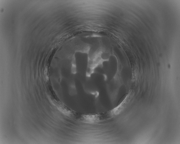 X0000066120187200603101245