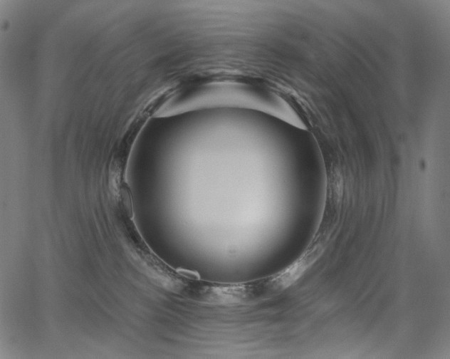 X0000066120188200603101245