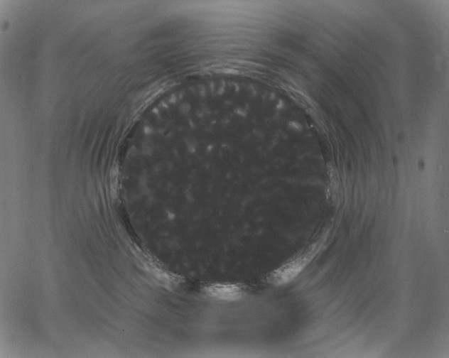 X0000066120189200603101245