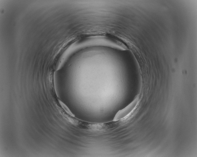 X0000066120192200603101245