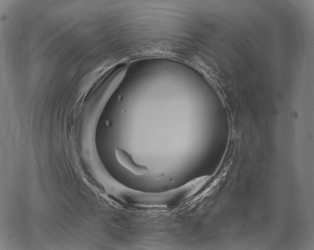 X0000066120193200603101244