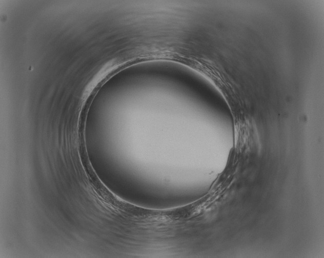 X0000066120195200603101244