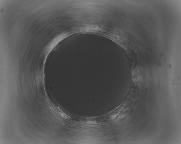 X0000066120196200603101244