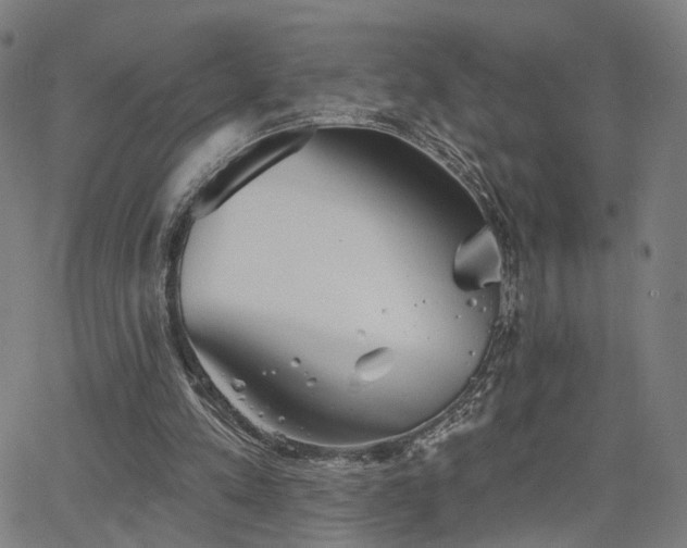 X0000066120197200603101244