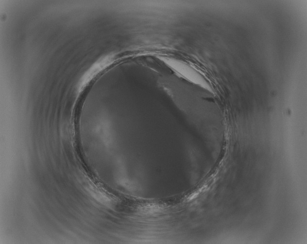 X0000066120198200603101244