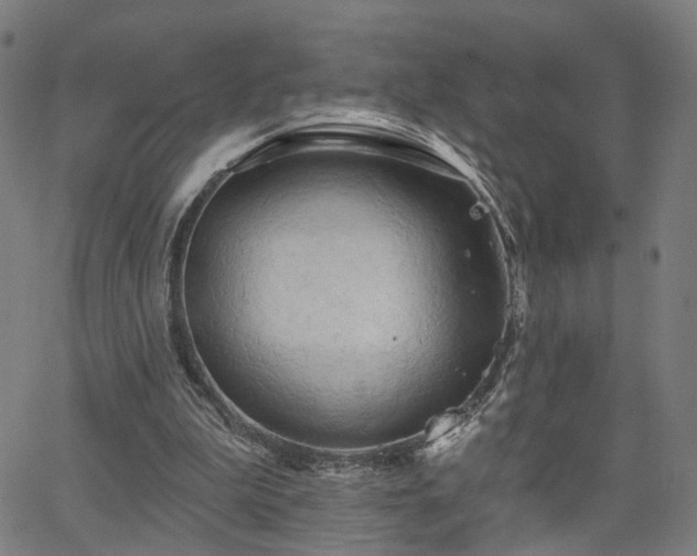 X0000066120199200603101244