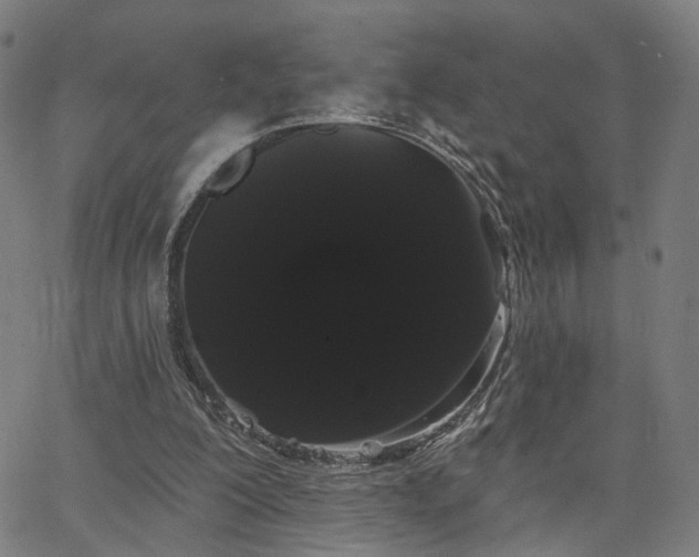 X0000066120200200603101244