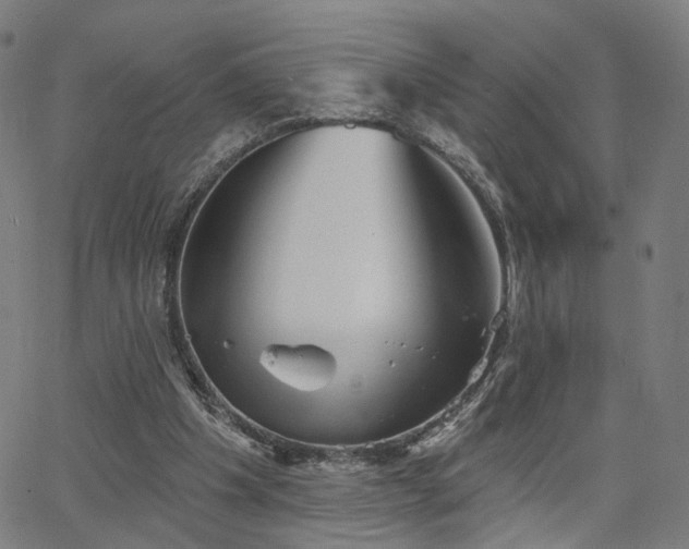 X0000066120201200603101244