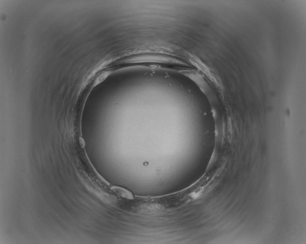 X0000066120203200603101244