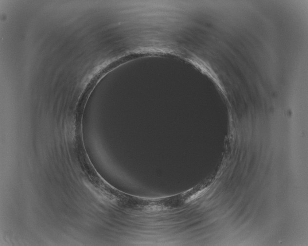 X0000066120204200603101244