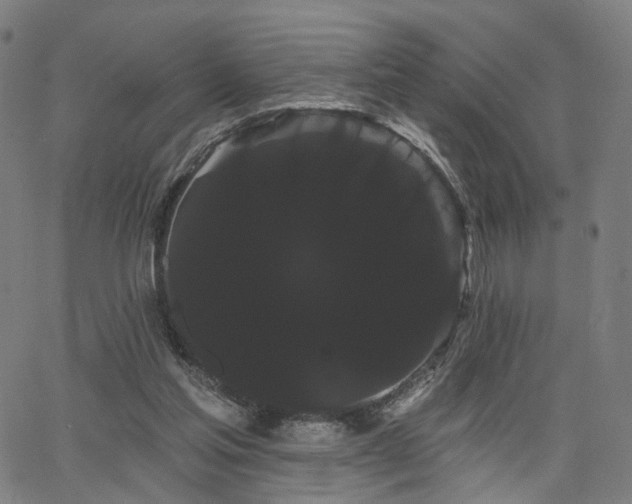 X0000066120205200603101244