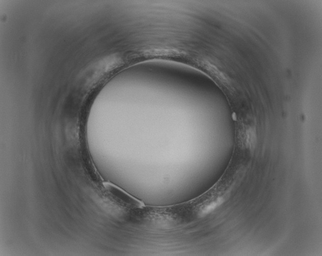 X0000066120207200603101244