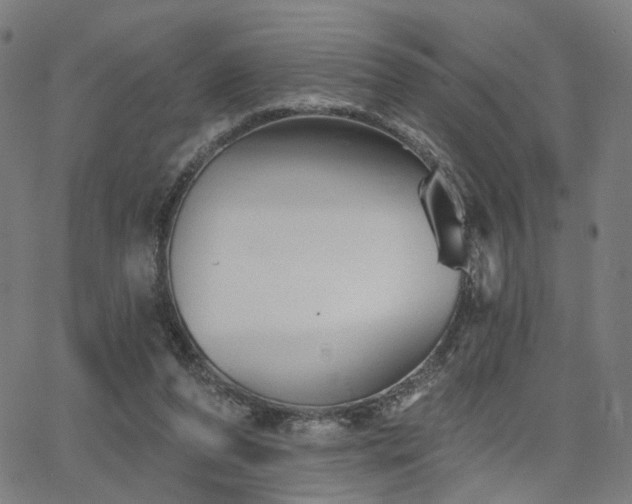 X0000066120208200603101244