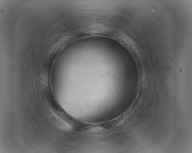 X0000066120210200603101244