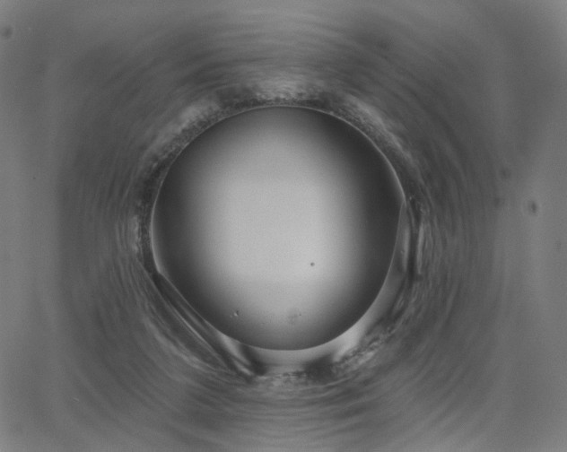 X0000066120211200603101244