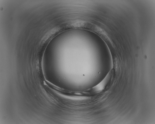 X0000066120212200603101244