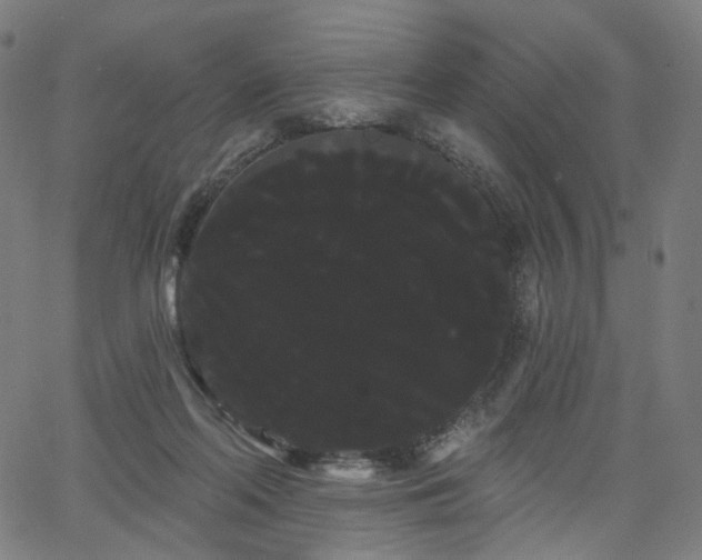 X0000066120214200603101244