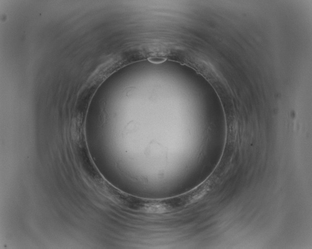 X0000066120218200603101243