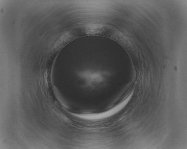 X0000066120219200603101243