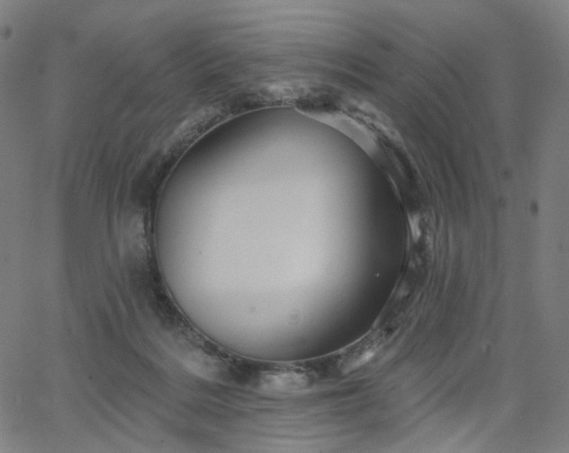 X0000066120220200603101243