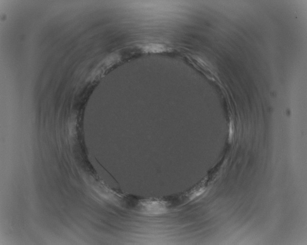 X0000066120221200603101243