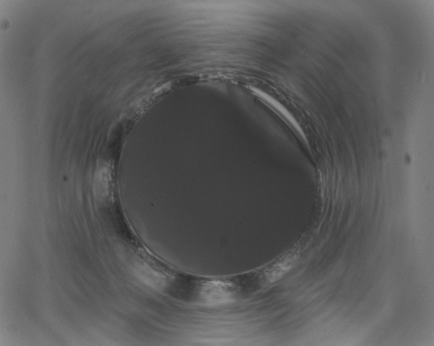 X0000066120222200603101243