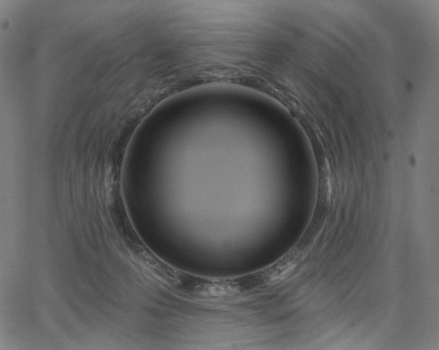 X0000066120223200603101243