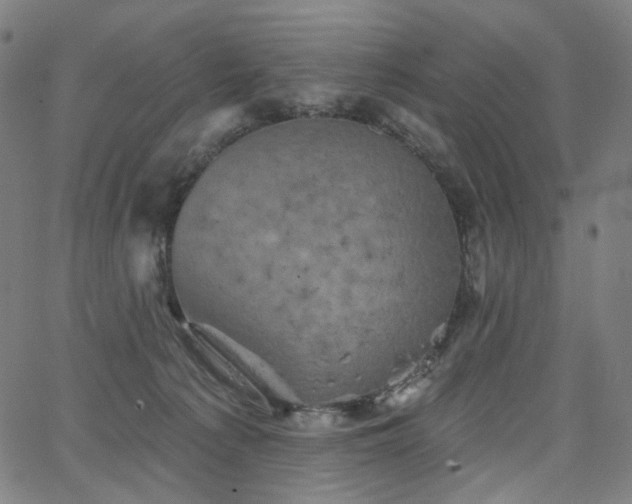 X0000066120225200603101243