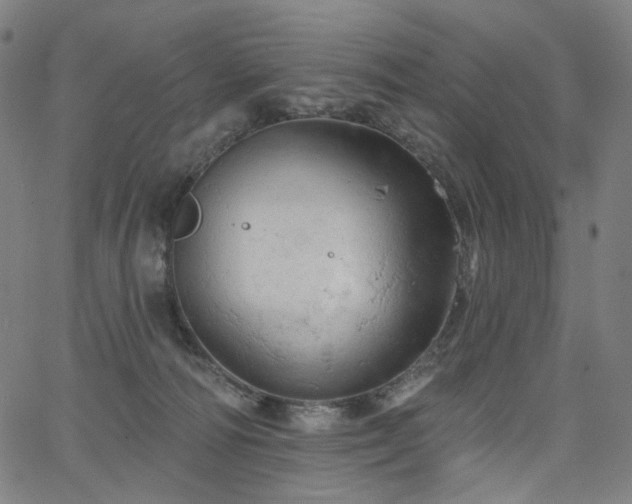 X0000066120226200603101243