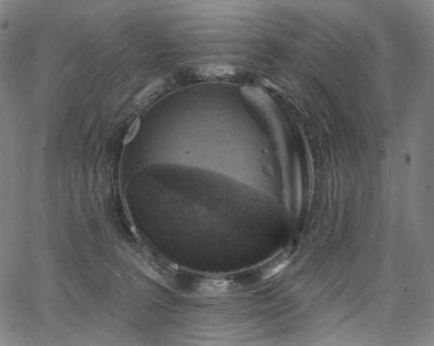 X0000066120227200603101243