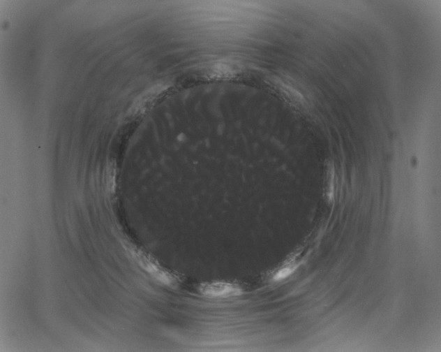 X0000066120230200603101243