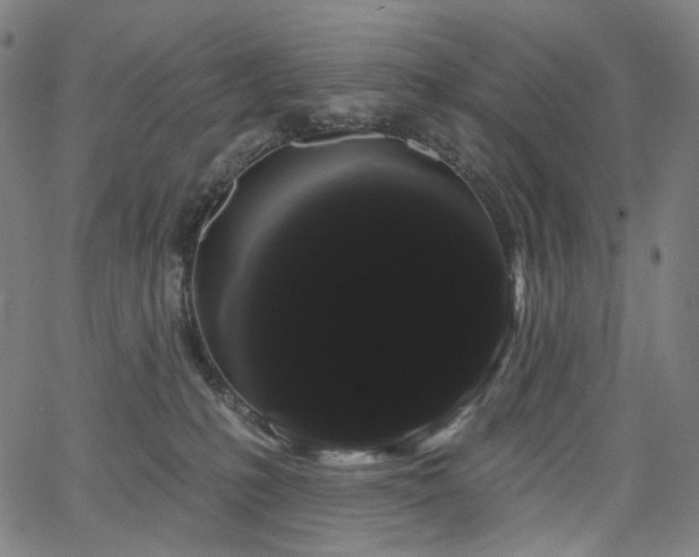 X0000066120231200603101243