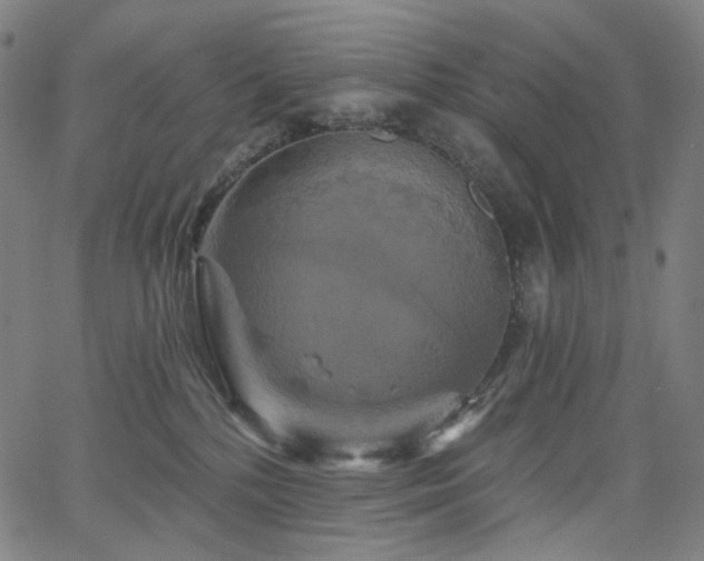 X0000066120232200603101243