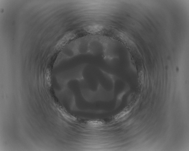 X0000066120234200603101243