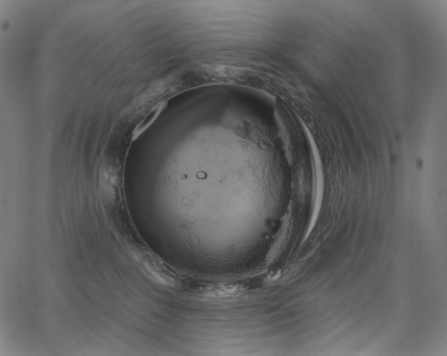 X0000066120235200603101243