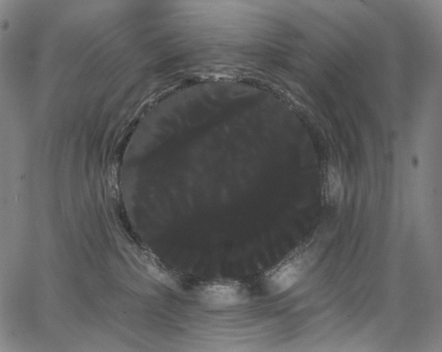 X0000066120236200603101243